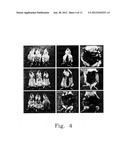 PHARMACEUTICAL COMPOSITION FOR INHIBITING PERITONEAL DISSEMINATION diagram and image