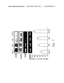 PHARMACEUTICAL COMPOSITION FOR INHIBITING PERITONEAL DISSEMINATION diagram and image