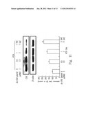 PHARMACEUTICAL COMPOSITION FOR INHIBITING PERITONEAL DISSEMINATION diagram and image