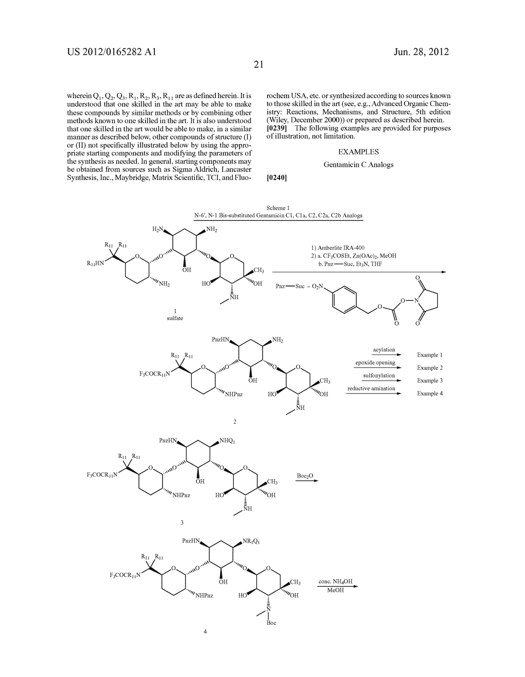 ANTIBACTERIAL AMINOGLYCOSIDE ANALOGS - diagram, schematic, and image 22