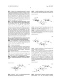 NOVEL AMINOGLYCOSIDE ANTIBIOTICS diagram and image