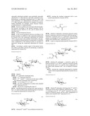 NOVEL AMINOGLYCOSIDE ANTIBIOTICS diagram and image