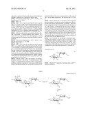 NOVEL AMINOGLYCOSIDE ANTIBIOTICS diagram and image