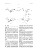 NOVEL AMINOGLYCOSIDE ANTIBIOTICS diagram and image