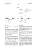 NOVEL AMINOGLYCOSIDE ANTIBIOTICS diagram and image