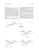 NOVEL AMINOGLYCOSIDE ANTIBIOTICS diagram and image