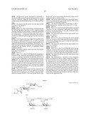 NOVEL AMINOGLYCOSIDE ANTIBIOTICS diagram and image