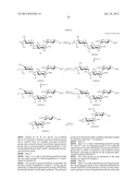 NOVEL AMINOGLYCOSIDE ANTIBIOTICS diagram and image