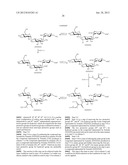 NOVEL AMINOGLYCOSIDE ANTIBIOTICS diagram and image