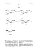 NOVEL AMINOGLYCOSIDE ANTIBIOTICS diagram and image