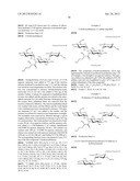 NOVEL AMINOGLYCOSIDE ANTIBIOTICS diagram and image