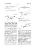 NOVEL AMINOGLYCOSIDE ANTIBIOTICS diagram and image