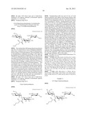 NOVEL AMINOGLYCOSIDE ANTIBIOTICS diagram and image