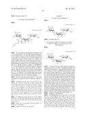 NOVEL AMINOGLYCOSIDE ANTIBIOTICS diagram and image