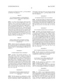 ETHER DERIVATIVES OF BICYCLIC HETEROARYLS diagram and image