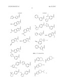 RHO KINASE INHIBITORS diagram and image