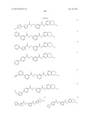 RHO KINASE INHIBITORS diagram and image