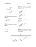 RHO KINASE INHIBITORS diagram and image