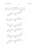 RHO KINASE INHIBITORS diagram and image