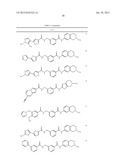 RHO KINASE INHIBITORS diagram and image