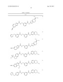 RHO KINASE INHIBITORS diagram and image