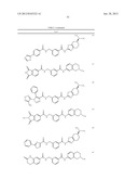 RHO KINASE INHIBITORS diagram and image