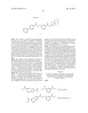 RHO KINASE INHIBITORS diagram and image