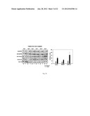 INHIBITION OF HISTONE ACETYLTRANSFERASES BY CTK7A  AND METHODS THEREOF diagram and image