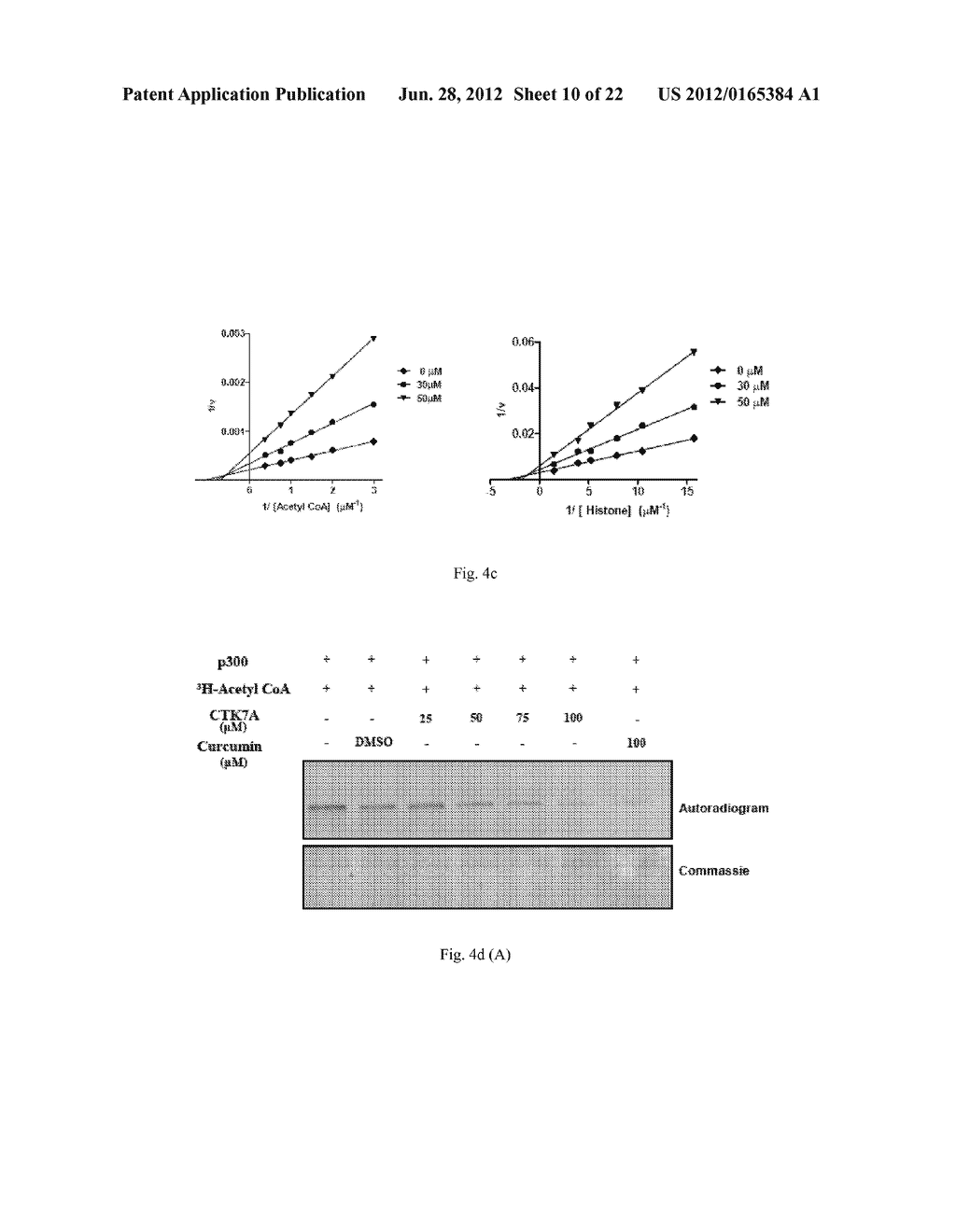 INHIBITION OF HISTONE ACETYLTRANSFERASES BY CTK7A  AND METHODS THEREOF - diagram, schematic, and image 11