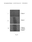 INHIBITION OF HISTONE ACETYLTRANSFERASES BY CTK7A  AND METHODS THEREOF diagram and image