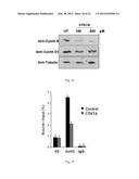 INHIBITION OF HISTONE ACETYLTRANSFERASES BY CTK7A  AND METHODS THEREOF diagram and image