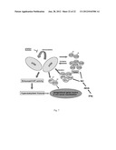 INHIBITION OF HISTONE ACETYLTRANSFERASES BY CTK7A  AND METHODS THEREOF diagram and image