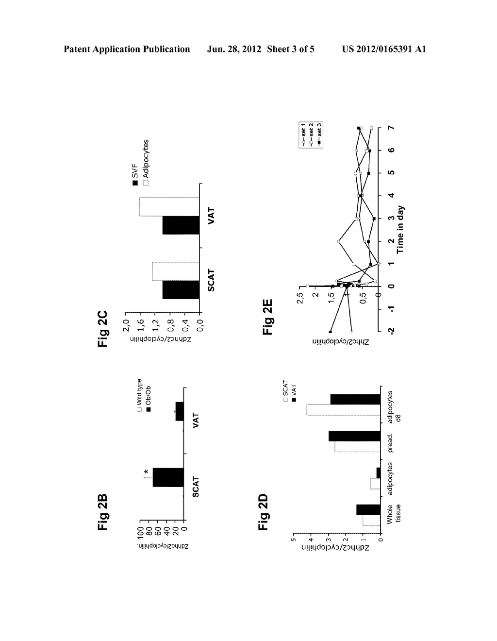 USE OF INHIBITORS OF ZDHHC2 ACTIVITY FOR MODULATION OF ADIPOGENESIS - diagram, schematic, and image 04