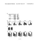 Identification of Micro-RNAS Involved in Post-Myocardial Infarction     Remodeling and Heart Failure diagram and image