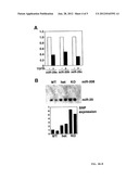 Identification of Micro-RNAS Involved in Post-Myocardial Infarction     Remodeling and Heart Failure diagram and image