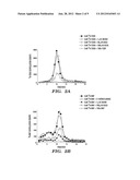 METHODS OF INHIBITING THE ACTIVITY OF HSP90 AND/OR ARYL HYDROCARBON     RECEPTOR diagram and image