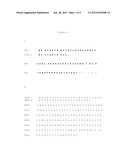 FUSION PROTEINS THE PROCESS TO PREPARATION AND UTILIZATION IN EXPRESSION     SYSTEMS OF RECOMBINANT PROTEINS diagram and image