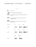 FUSION PROTEINS THE PROCESS TO PREPARATION AND UTILIZATION IN EXPRESSION     SYSTEMS OF RECOMBINANT PROTEINS diagram and image