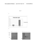 FUSION PROTEINS THE PROCESS TO PREPARATION AND UTILIZATION IN EXPRESSION     SYSTEMS OF RECOMBINANT PROTEINS diagram and image