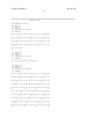 FUSION PROTEINS THE PROCESS TO PREPARATION AND UTILIZATION IN EXPRESSION     SYSTEMS OF RECOMBINANT PROTEINS diagram and image