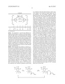 NOVEL COORDINATION COMPLEXES AND PROCESS OF PRODUCING POLYCARBONATE BY     COPOLYMERIZATION OF CARBON DIOXIDE AND EPOXIDE USING THE SAME AS CATALYST diagram and image