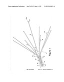 RADIO FREQUENCY ABLATION DEVICE FOR THE DESTRUCTION OF TISSUE MASSES diagram and image