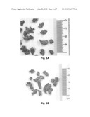 SYSTEM AND METHOD FOR INSPECTING AND SORTING PARTICLES AND PROCESS FOR     QUALIFYING THE SAME WITH SEED PARTICLES diagram and image