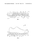 Sole And Article Of Footwear diagram and image