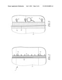 Window Covering with Cord Shrouds diagram and image