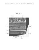 MODULE AND PROCESS FOR PRODUCTION THEREOF diagram and image