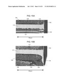 MODULE AND PROCESS FOR PRODUCTION THEREOF diagram and image