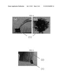 GRAPHENE-IRON OXIDE COMPLEX AND FABRICATION METHOD THEREOF diagram and image