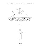 FLEXIBLE TUBE FOR IRRIGATING TREES diagram and image