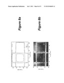 LIQUID SCINTILLATOR FOR 3D DOSIMETRY FOR RADIOTHERAPY MODALITIES diagram and image